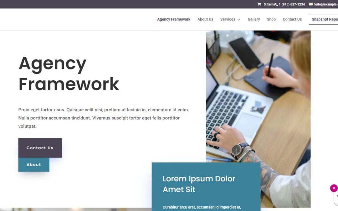 Agency Framework 2